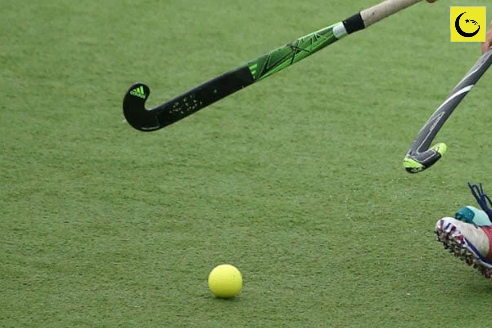 Pakistan Canada Johor Cup 2026: file photo of hockey sticks and a ball on turf during a field hockey match, no players identifiable
